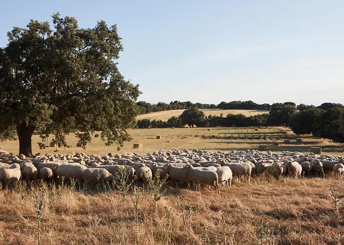 Caserio Aldeallana Отель